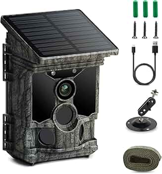 71kAVPAjtBL._AC_UF350,