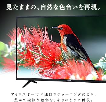 Amazon.co.jp: アイリスオーヤマ 32V型 液晶 テレビ 32WB10PB 2022年