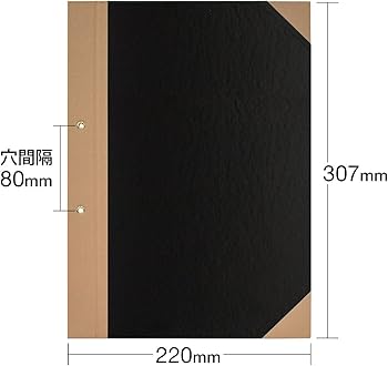 Amazon | プラス とじ込表紙 A4縦 2穴 FL-012TU 77-179 黒 | とじこみ
