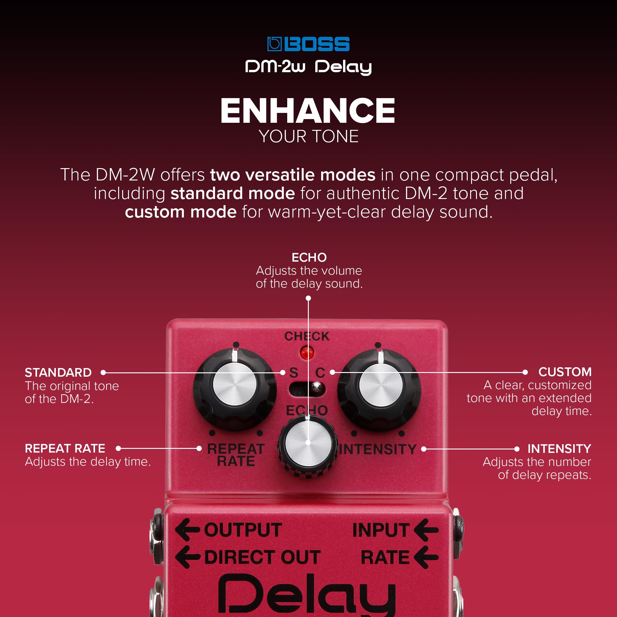 BOSS DM-2W Waza Craft Delay Pedal : Amazon.ca: Musical Instruments