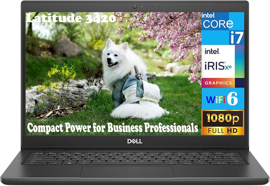 Amazon.com: Dell Latitude 3420 Business Laptop 14.0