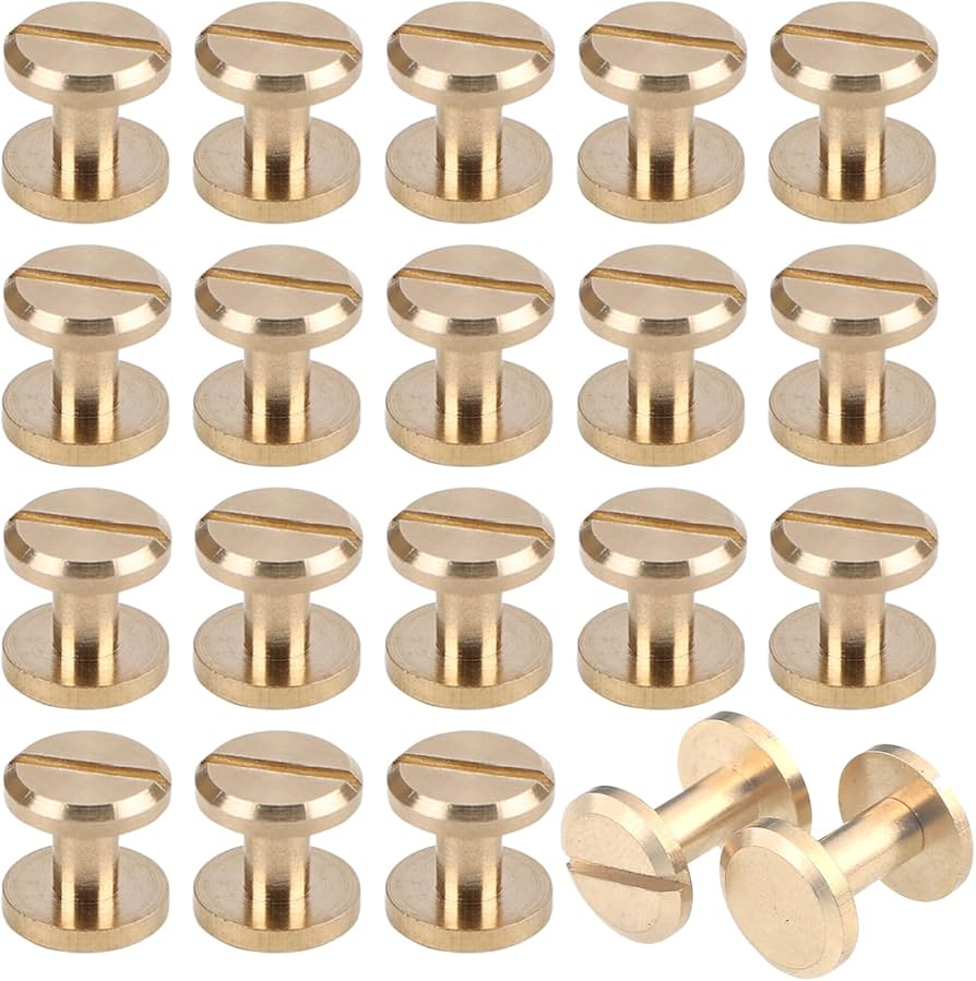 Amazon.co.jp: Mesanda シカゴスクリュー 20組セット 組ネジ バインド