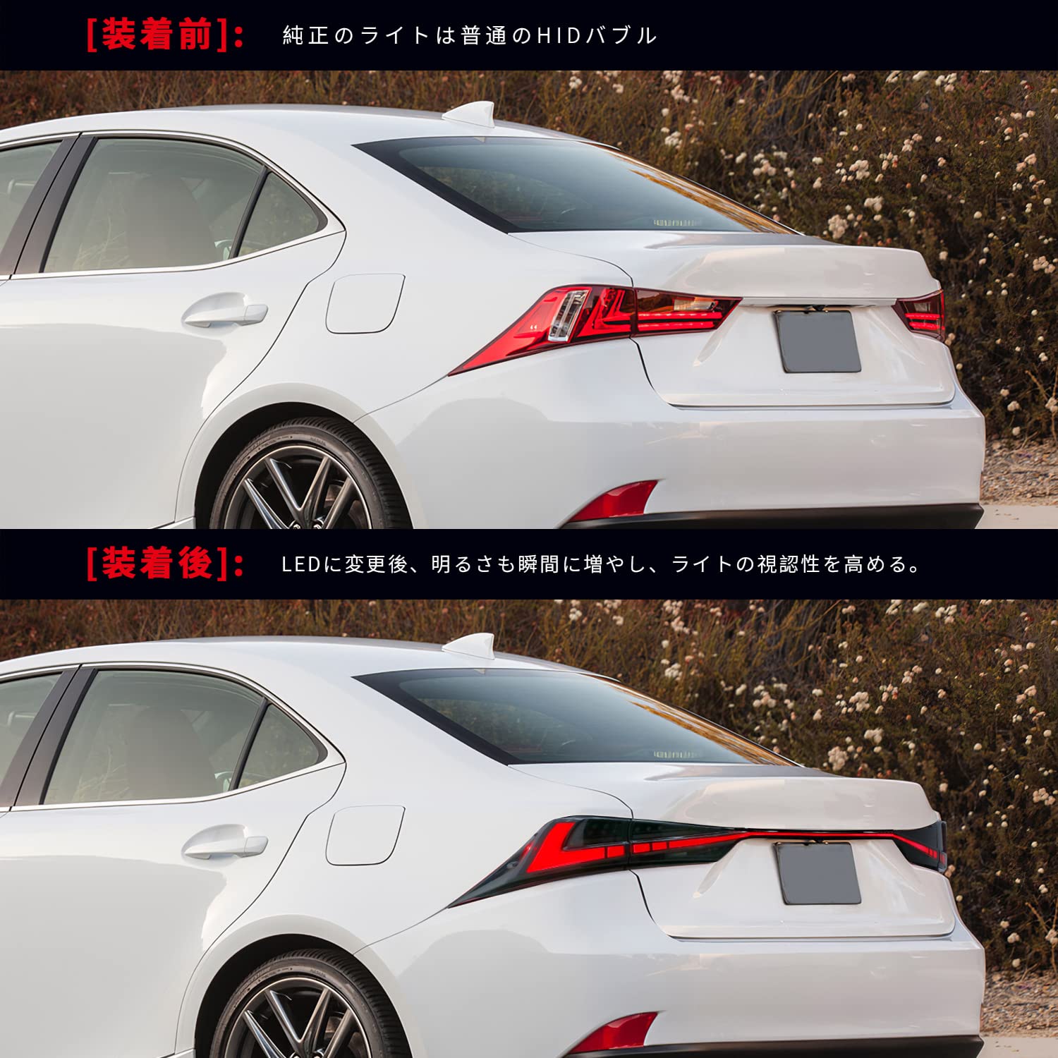 Amazon | LUYUNレクサス IS 3代目 テールランプ ASE30 GSE3 AVE3 USE30