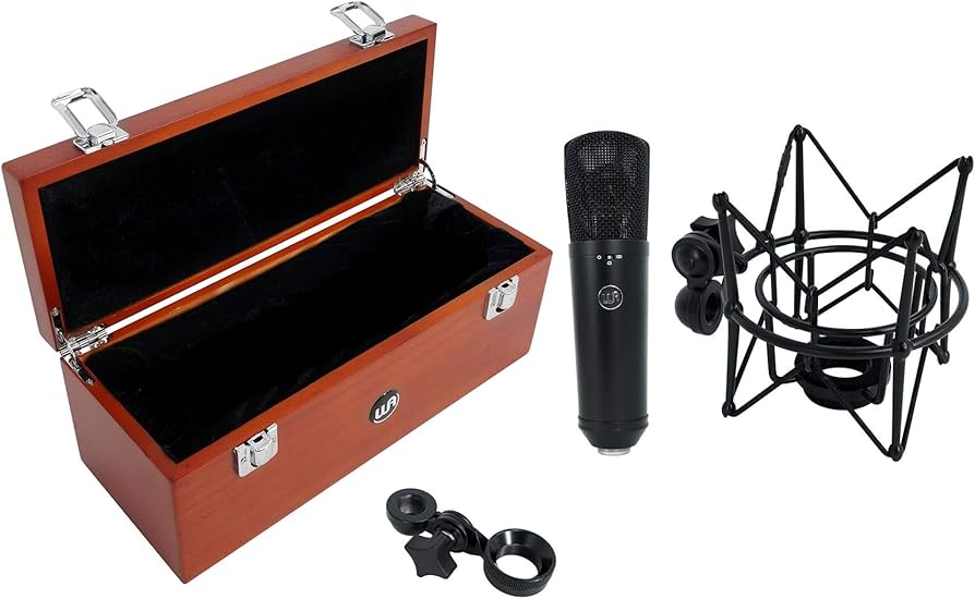 Amazon.com: Warm Audio WA-87 R2 Large Diaphragm Condenser