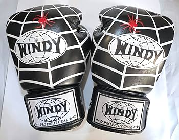 Amazon.co.jp: ウィンディ Windy キック ボクシンググローブ ホワイト
