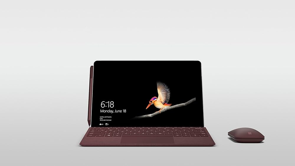 Amazon.co.jp: Microsoft Surface Go (128GB/8GB) MCZ-00014 : Computers
