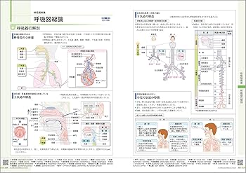 病気がみえる vol.15 小児科 第1版 | 医療情報科学研究所 |本 | 通販