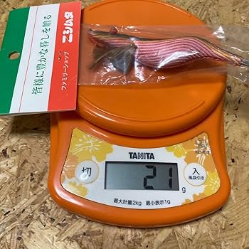 Amazon.co.jp: 3.5寸 手造り マチダエギ 町田エギ カラー2 鹿児島 本桐