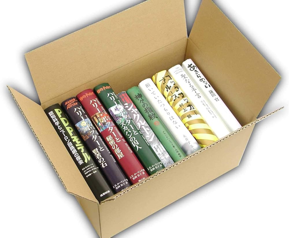 Amazon.co.jp: VillageBox ダンボール 段ボール 80サイズ 10枚セット