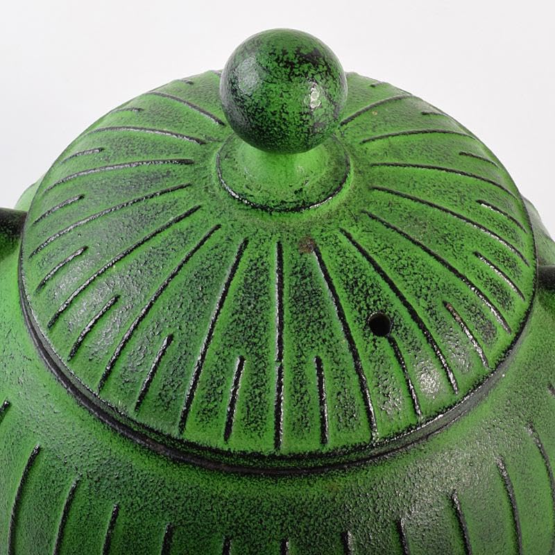 Amazon.co.jp: 煎茶道具 南部鉄器 盛栄堂造 カラー急須 若草色 C R7575