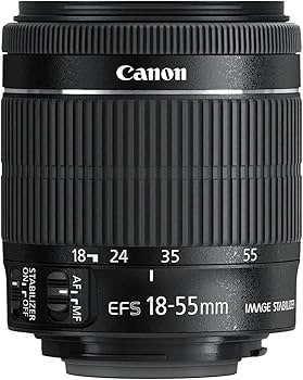 Amazon.co.jp: Canon 標準ズームレンズ EF-S18-55mm F3.5-5.6 IS STM