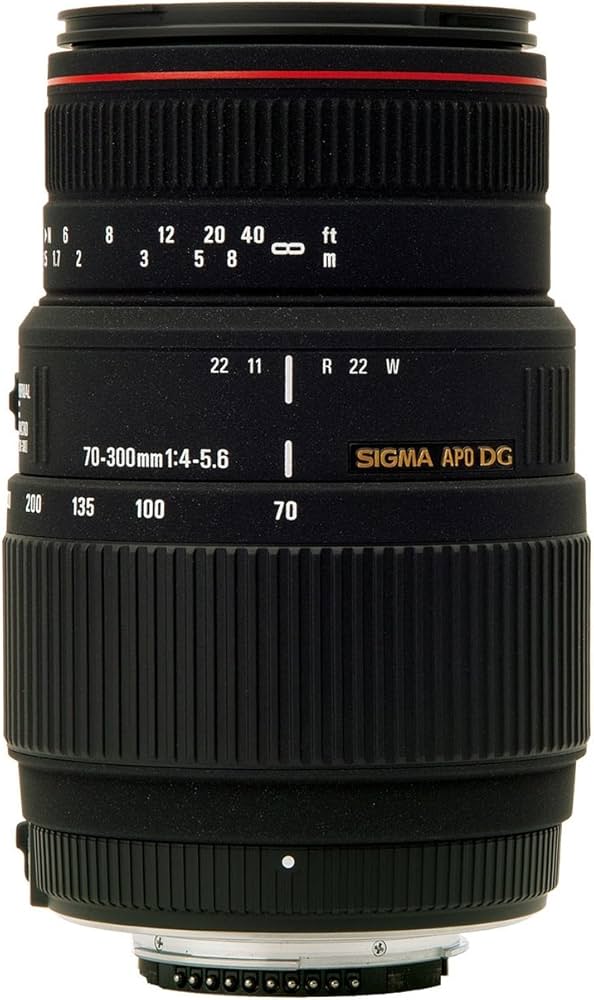 Amazon.com : Sigma 70-300mm f/4-5.6 DG APO Macro Telephoto Zoom