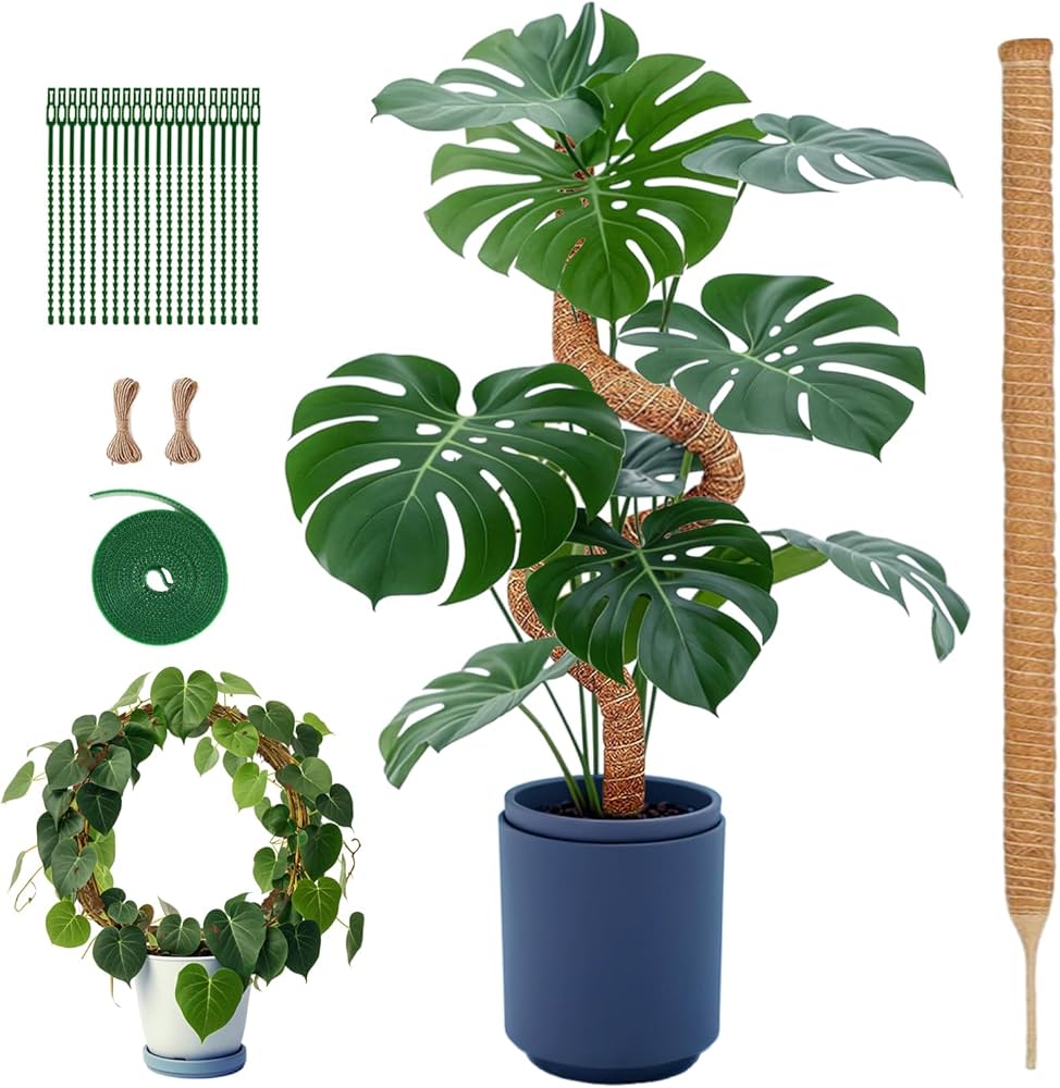 Amazon | 園芸 支柱 120cm 太め モンステラ支柱 ココスティック DIY