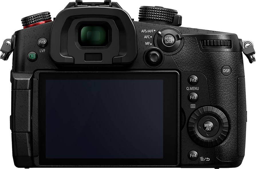 Amazon.com : Panasonic LUMIX GH5S Body 4K Digital Camera, 10.2