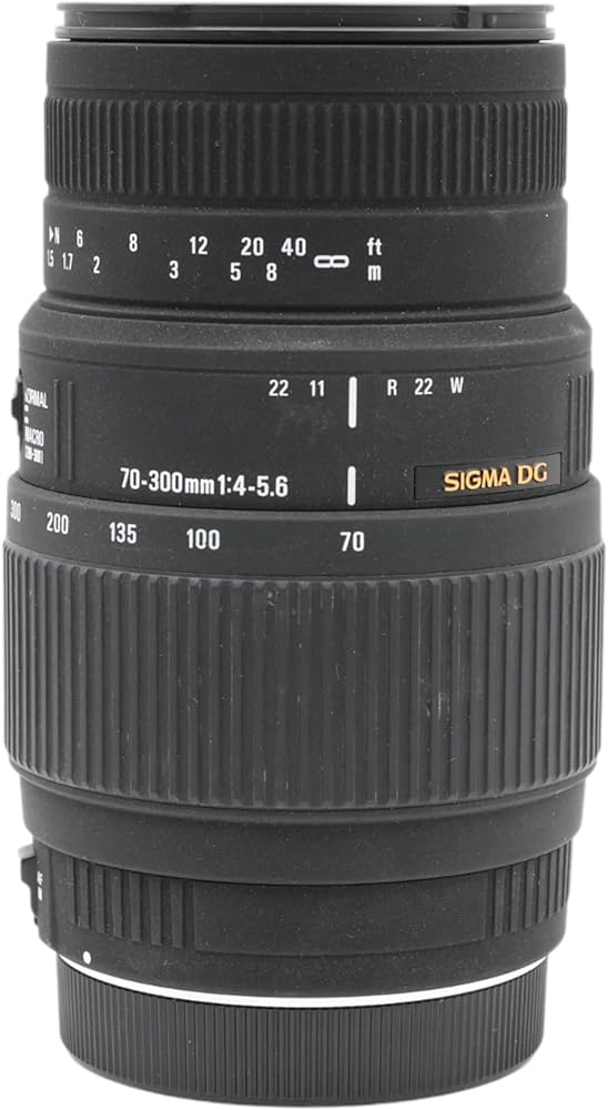 Amazon.com : Sigma 70-300mm f/4-5.6 DG Macro Telephoto Zoom Lens