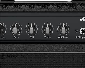 Amazon.co.jp: AMPEG BA-108 ベースコンボアンプ V2 : 楽器・音響機器
