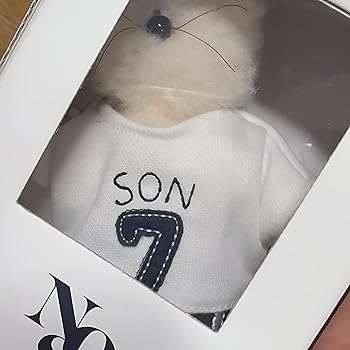 Generic Monamhee NOS7 SON.hee Keyring Cream, Soccer Cat Keychain