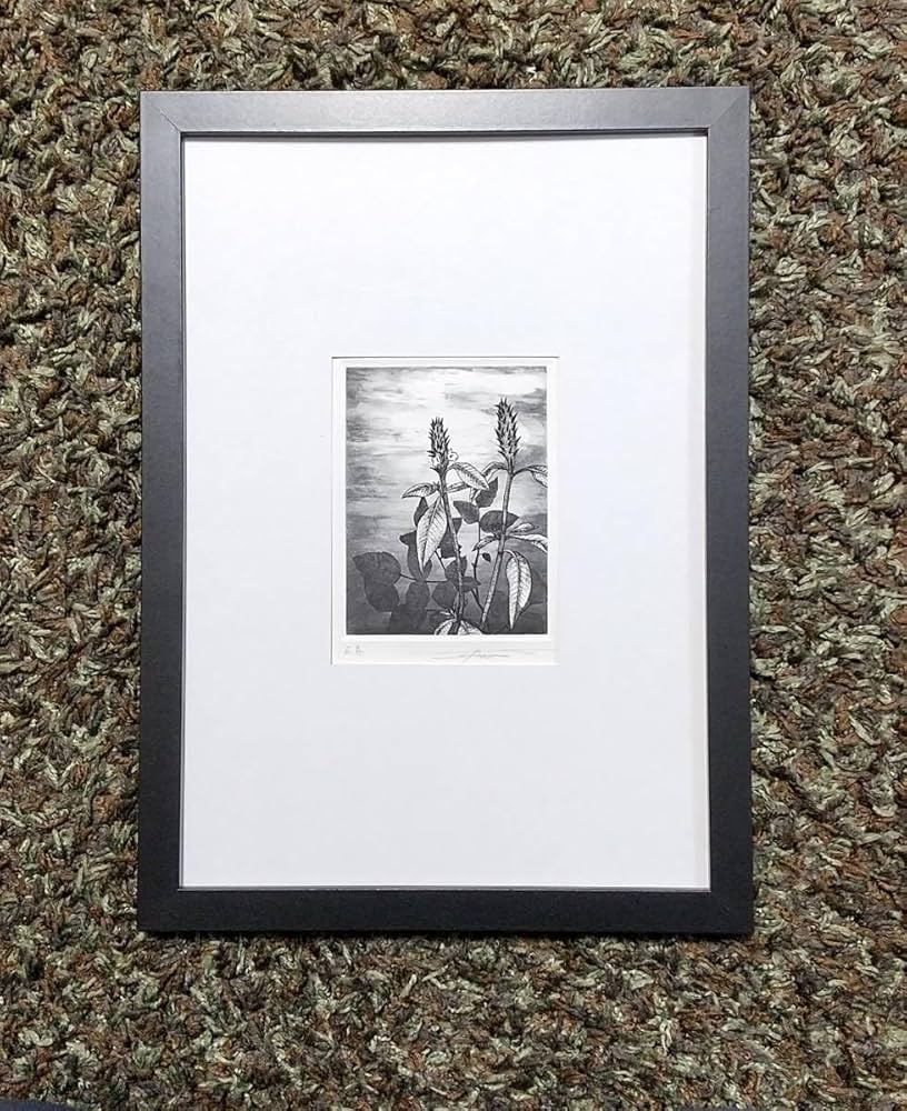 Amazon.co.jp: 渡辺達正 『草』 銅版画 直筆サイン入り モノタイプ