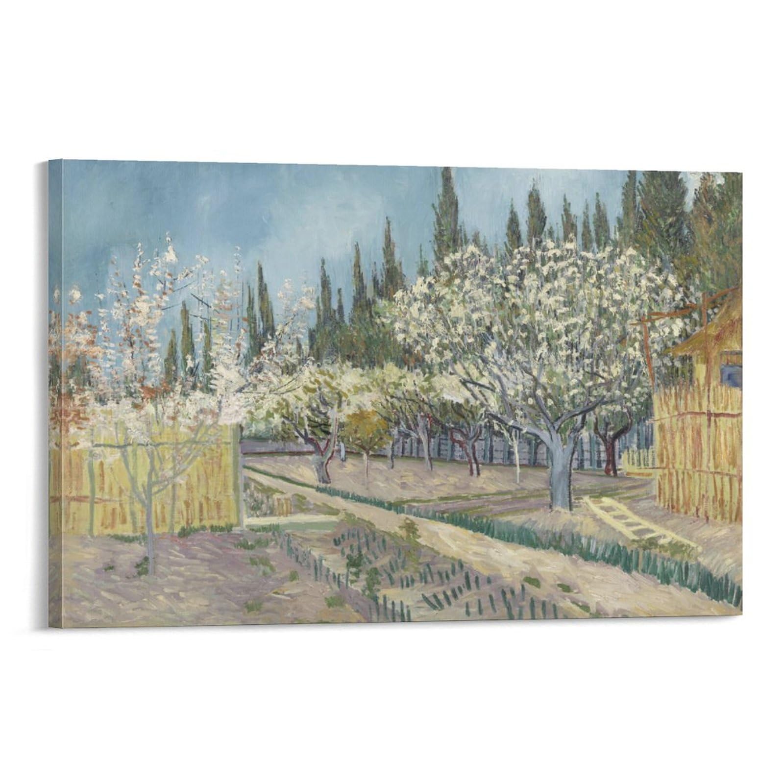 Amazon.co.jp: Vincent Van Goghフィンセント・ファン・ゴッホ《糸杉に