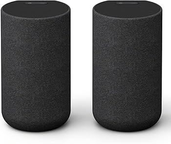 Amazon.co.jp: Sony SA-RS5 Rear Speaker with Built-in Battery for