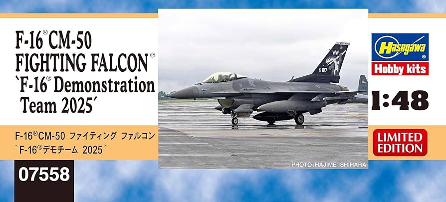 Amazon | ハセガワ 1/48 アメリカ F-16CM-50 ファイティング