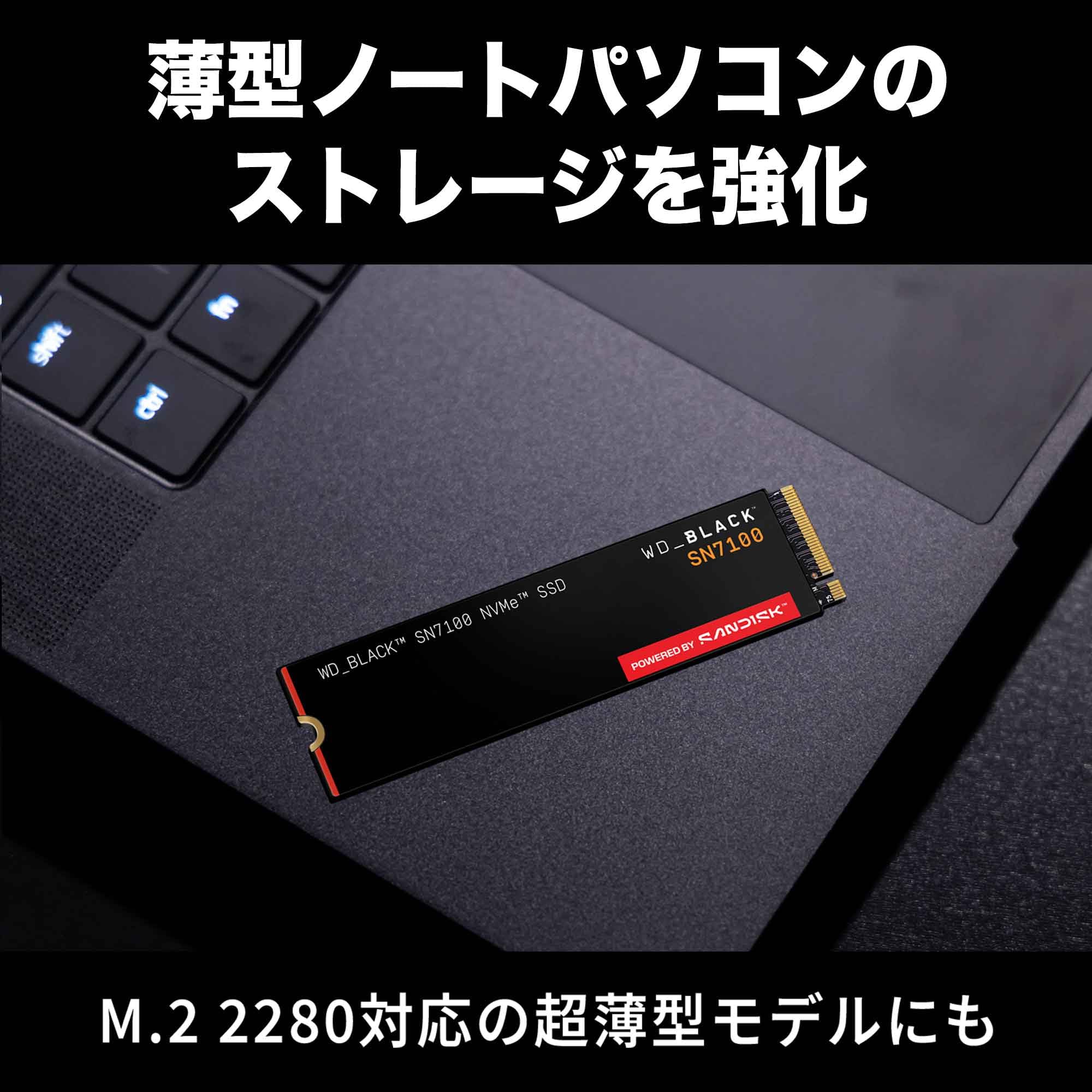 Amazon | Western Digital ウエスタンデジタル 内蔵SSD 2TB WD Black