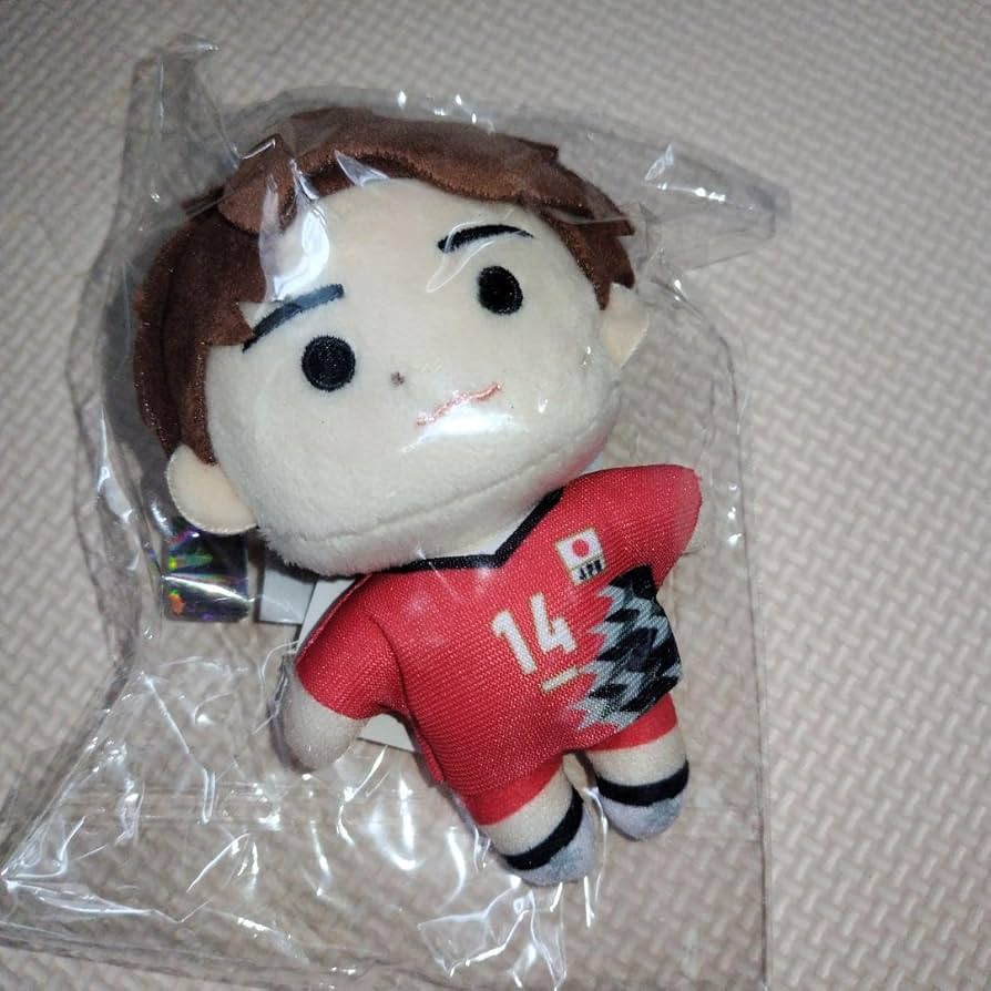 Amazon.co.jp: バレーボール男子日本代表ぬいぐるみキーホルダー 石川