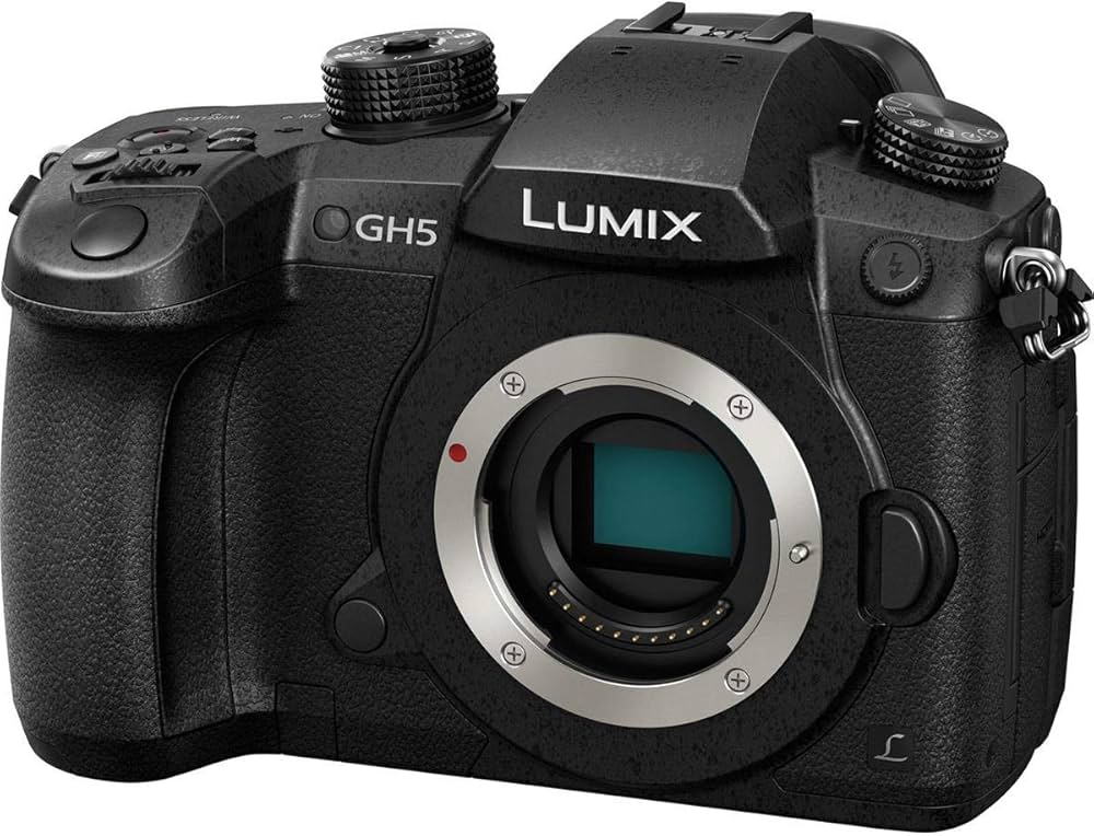 Amazon | PANASONIC LUMIX GH5 ボディ 4K ミラーレスカメラ 20.3メガ
