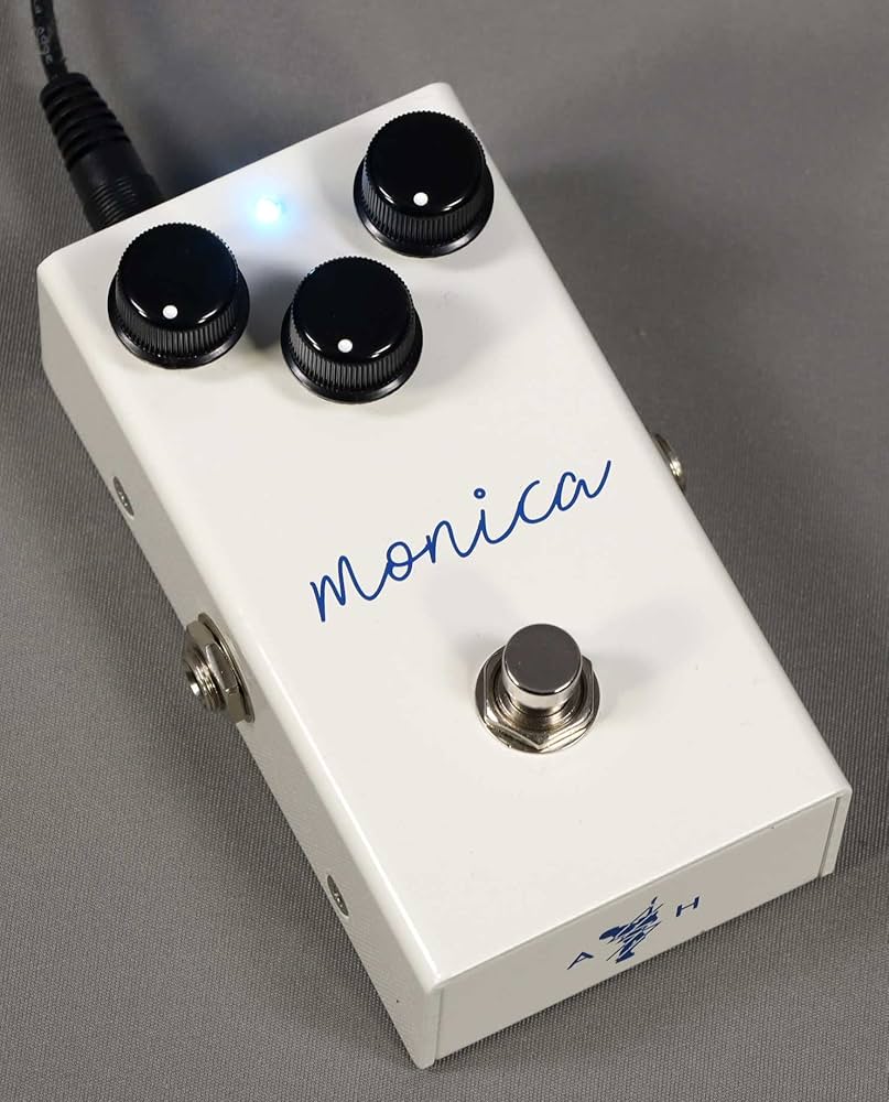 Amazon | VIRTUES/monica AssH Signature オーバードライブ