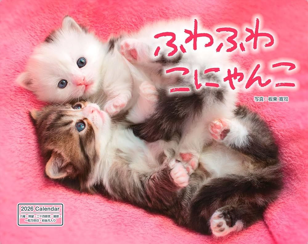 カレンダー2026 ふわふわこにゃんこ（月めくり/壁掛け/600mm×380mm