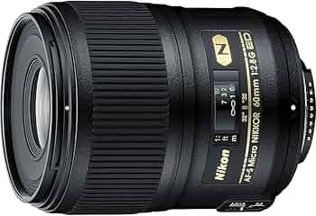 71sEVt1dAFL._AC_UF350,