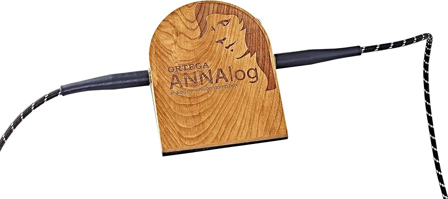 Amazon.com: Analog Singer-Songwriter Stomp Box with Built-in