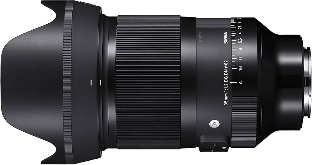 Amazon.co.jp: シグマ(Sigma) SIGMA シグマ Sony Eマウント レンズ