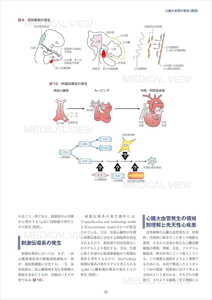 新 先天性心疾患を理解するための臨床心臓発生学 | 山岸 敬幸, 白石 公