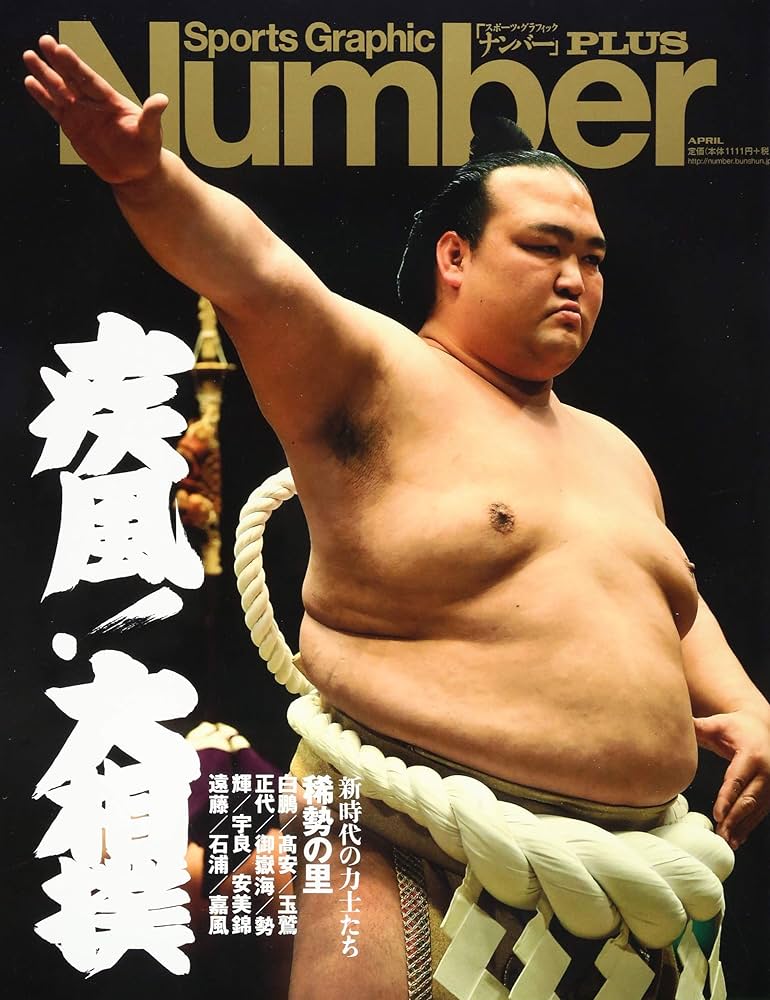 Number PLUS 疾風! 大相撲 新時代の力士たち (Sports Graphic Number
