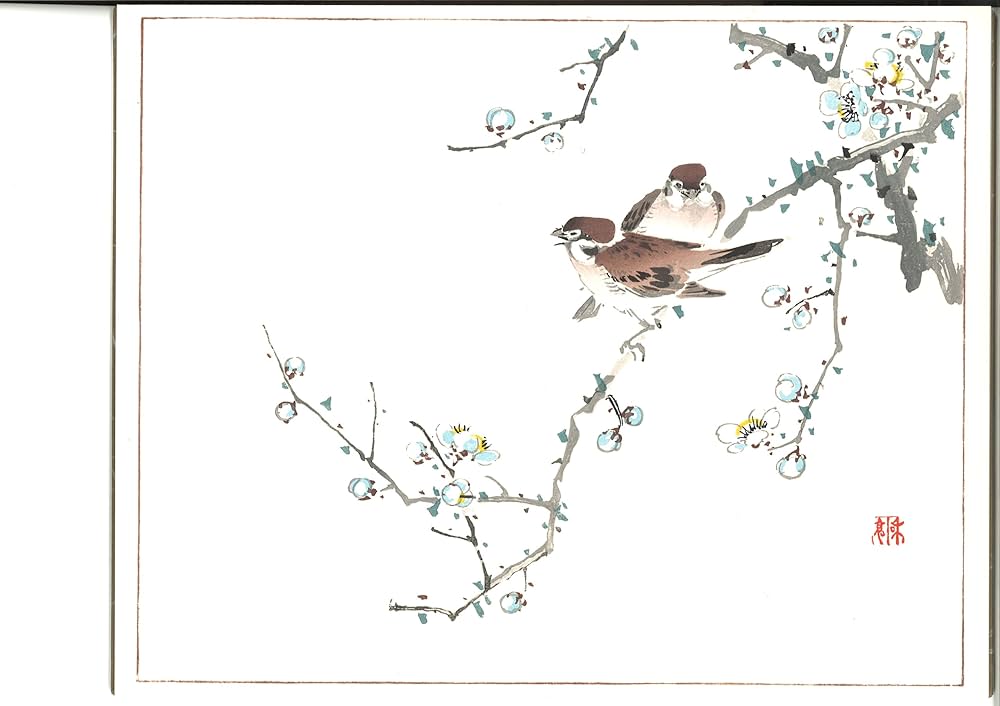 Amazon.co.jp: 丹青一斑(全五冊セット)―木版彩色摺習画帖 : 滝和亭: 本