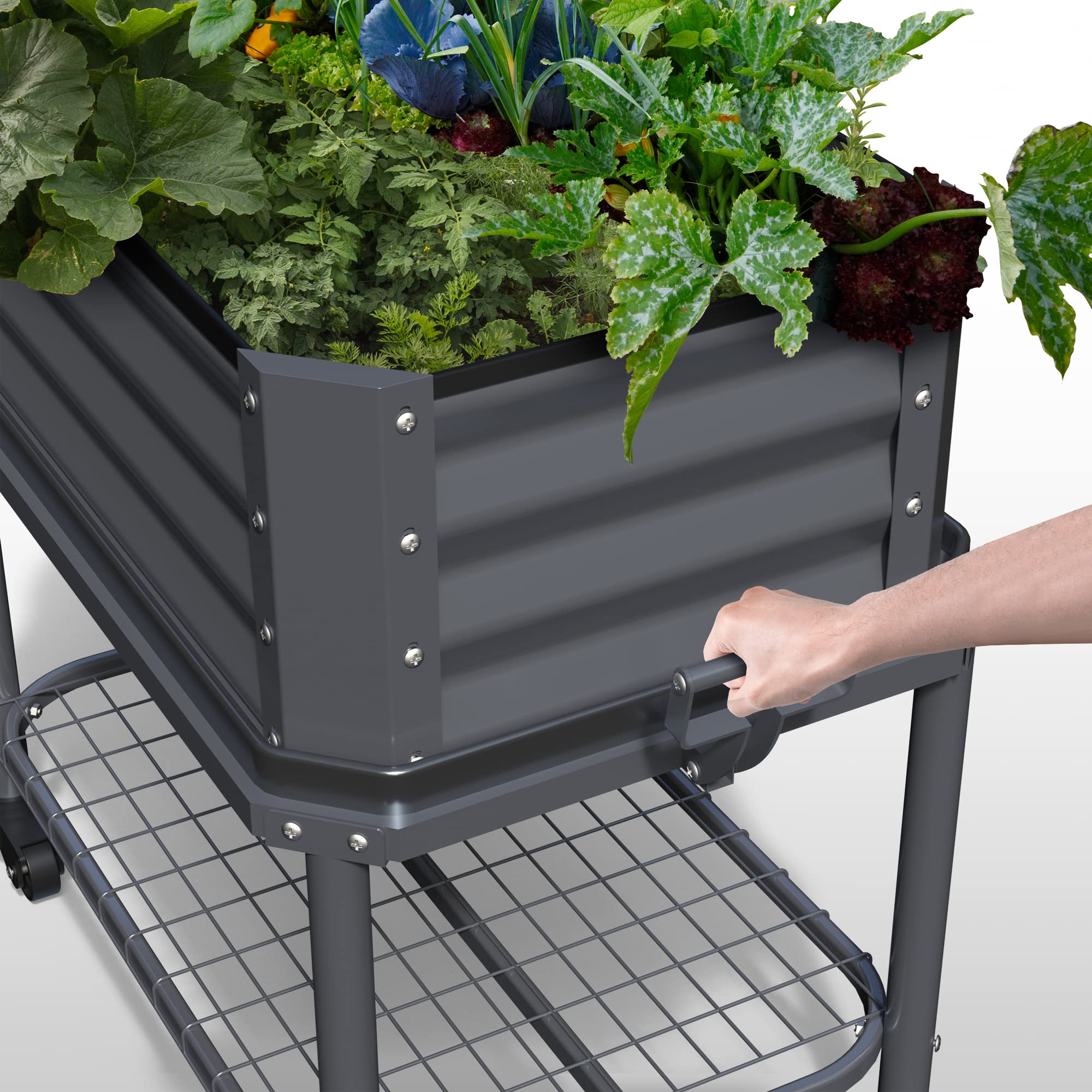 Amazon.co.jp: 亜鉛メッキ 盛り上がったガーデンベッド キャスター付き