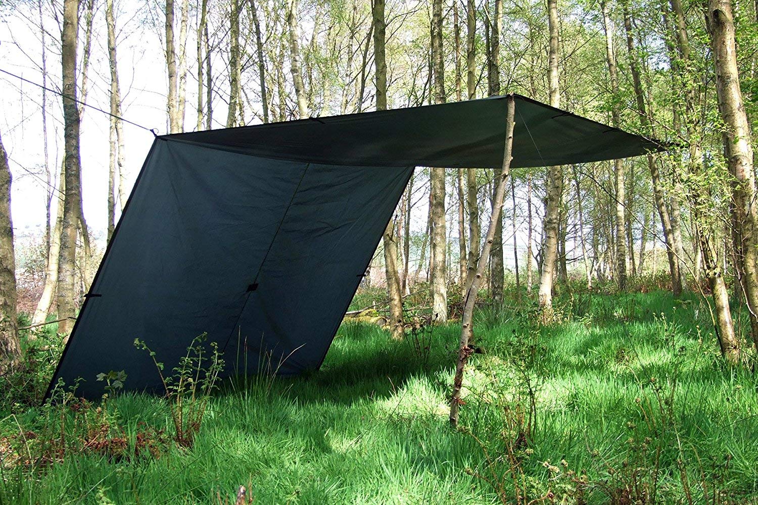 Amazon | DD Tarp XL 4.5mx3m 多用途で軽量なタープ 耐水性 3000mm