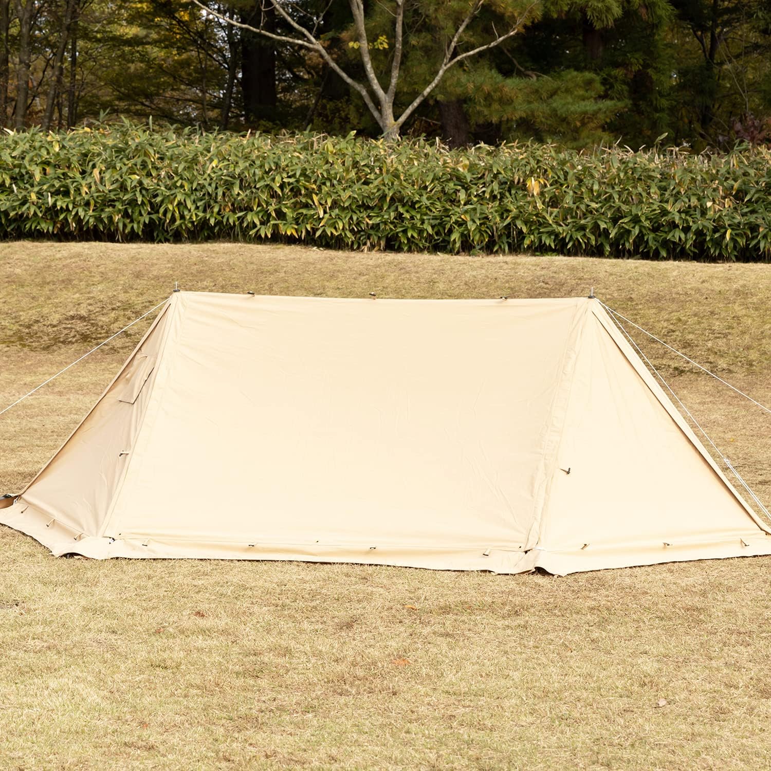 バンドック新製品】ソロベースEX用のフロントウォールがついに登場