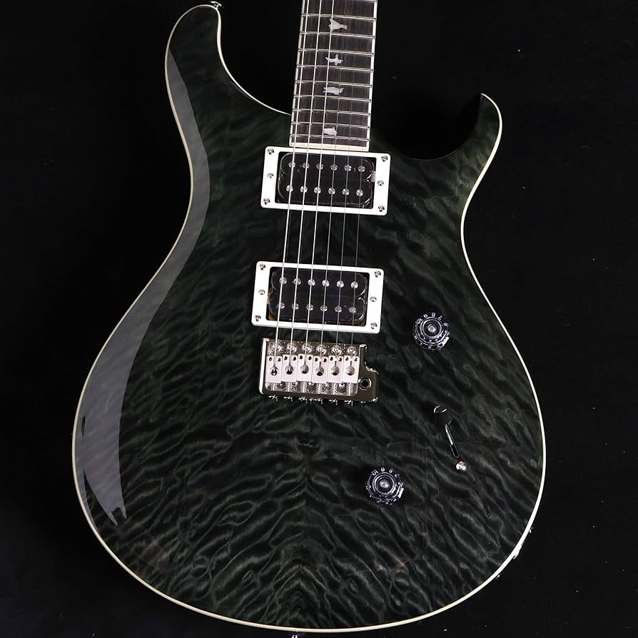 Amazon | PRS SE Custom24 Quilt Gray Black 限定モデル ポールリード