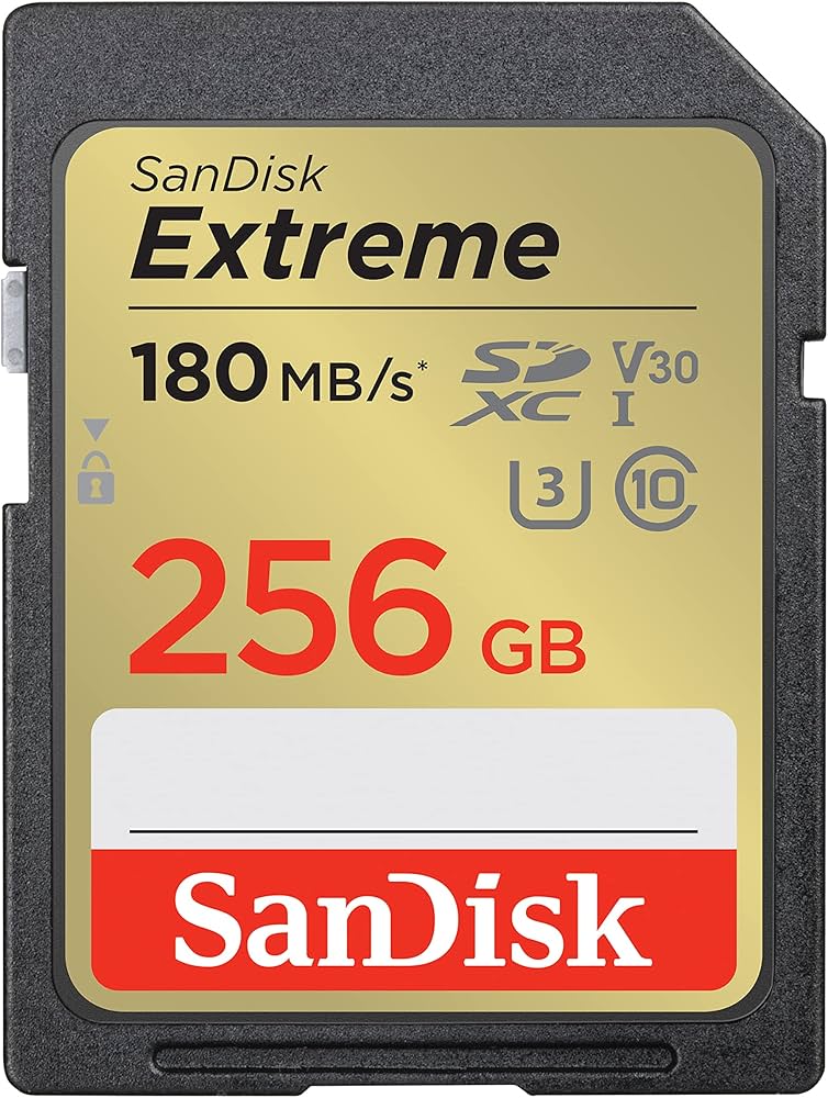 Amazon | SanDisk (サンディスク) 256GB Extreme (エクストリーム