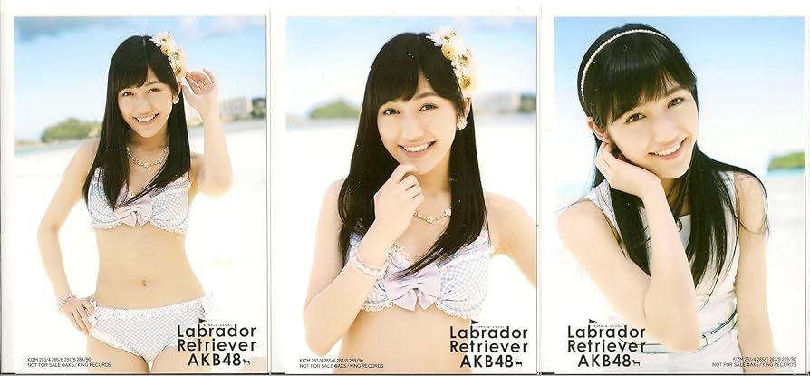 Amazon.co.jp: AKB48 公式生写真 ラブラドール・レトリバー 封入生写真