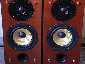 81vVG4vvTEL._AC_UF350,