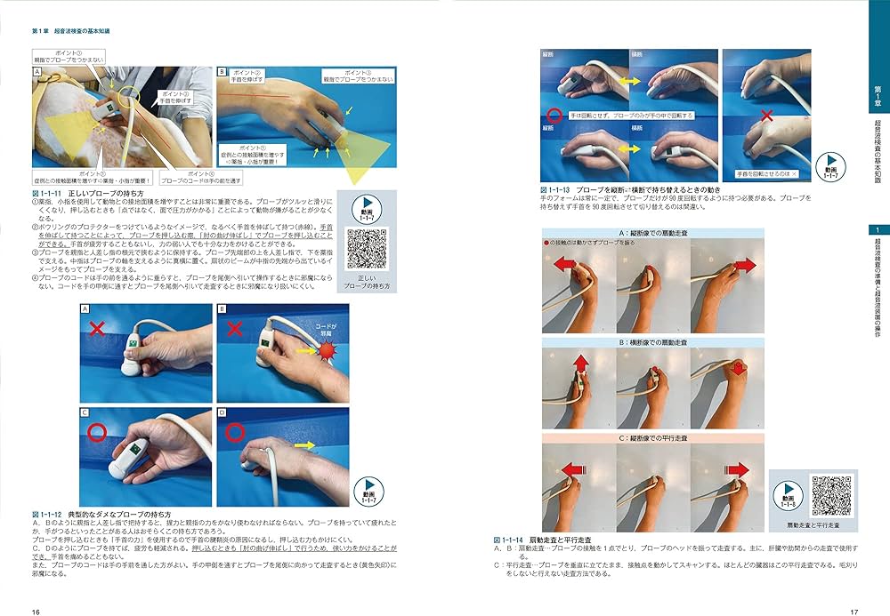 ビジュアルと動画でわかる！ 犬と猫の腹部超音波の描出レッスン 上巻