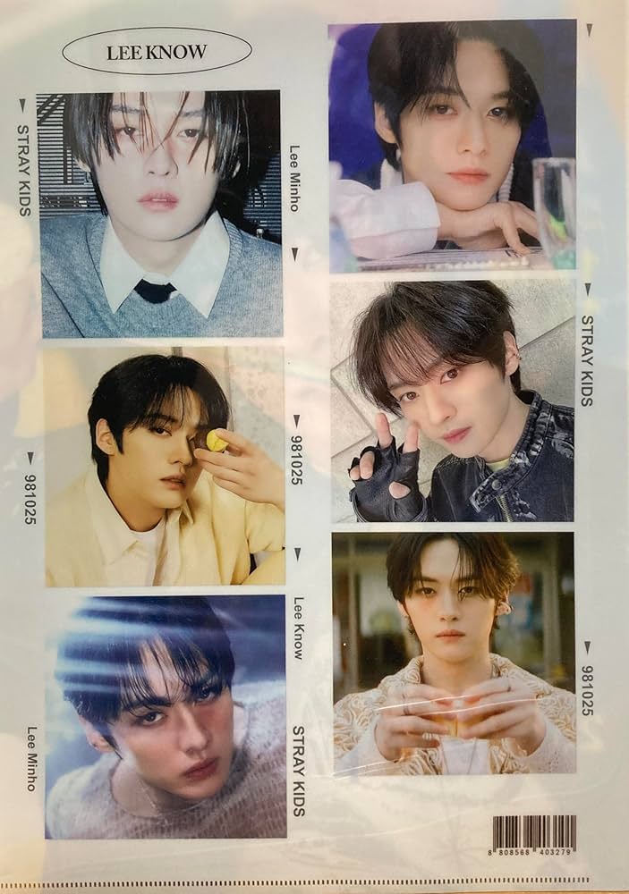 Amazon.co.jp: スキズ リノ グッズ A4クリアファイル 韓国 雑貨