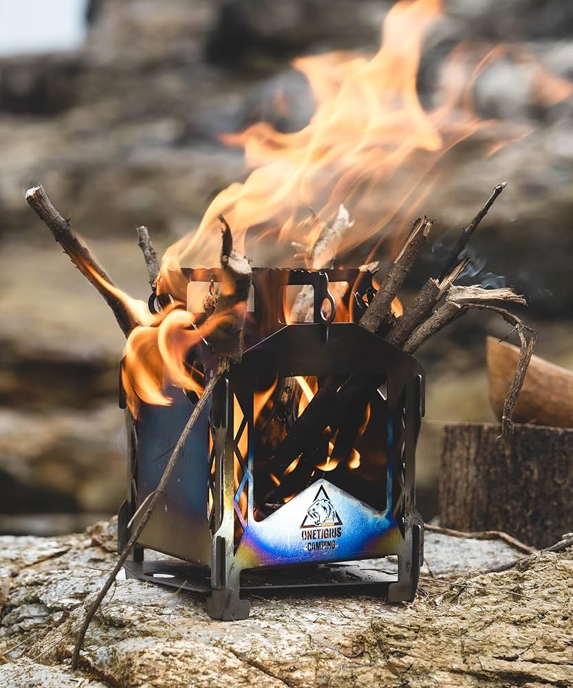 81y1OGx8dlL._AC_UF1000,