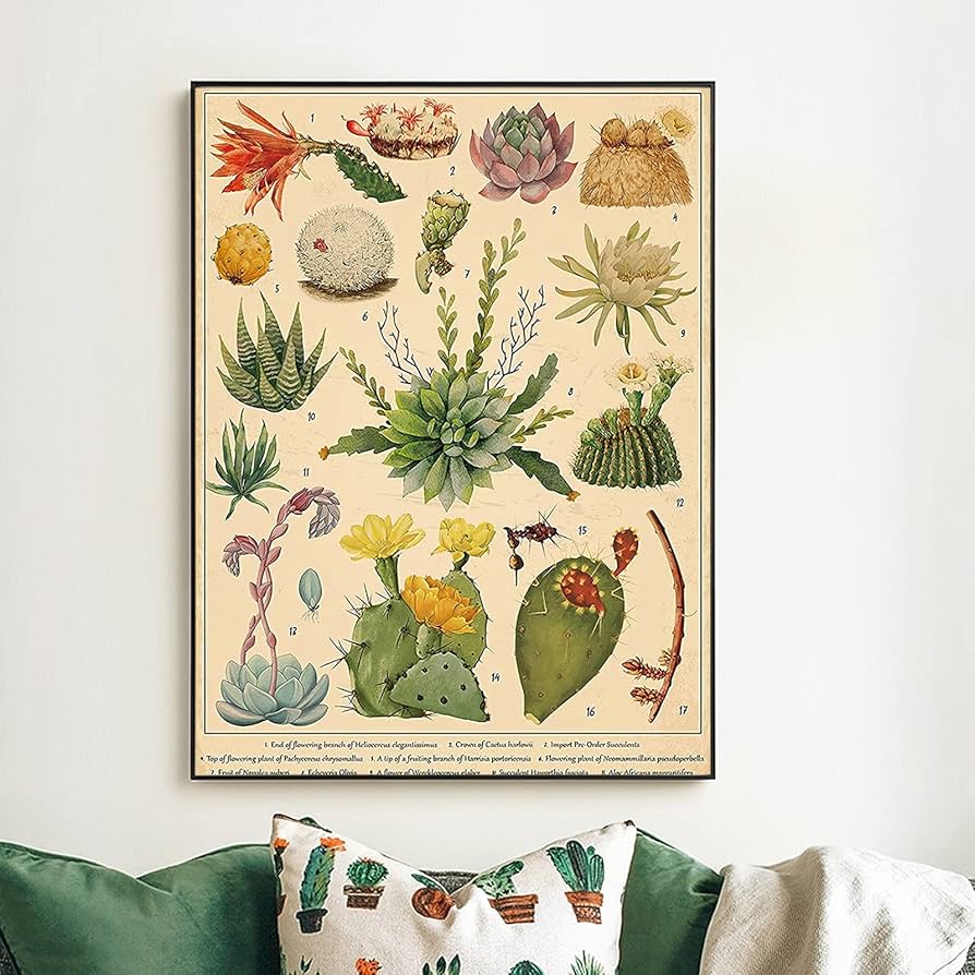 Amazon.co.jp: ZZPT ヴィンテージ サボテン 多肉植物 ポスター