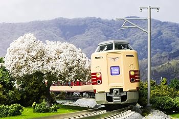 81Ac5zH6rmL._AC_UF350,