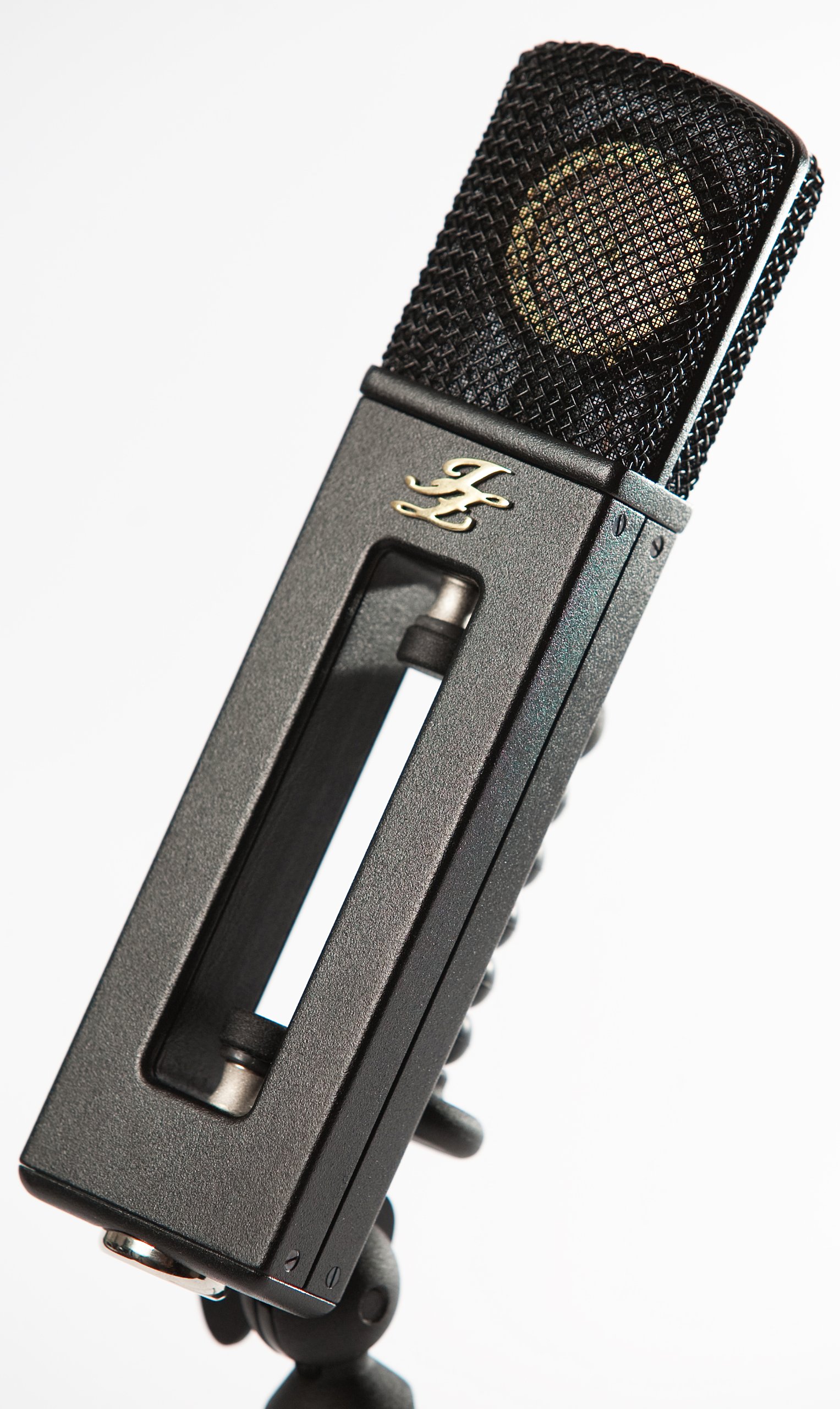 Amazon.com: JZ Microphones Black Hole Series BH-2 Condenser