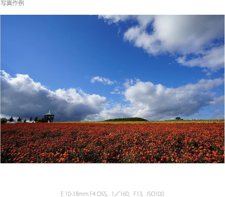 Amazon | SONY 広角ズームレンズ E 10-18mm F4 OSS ソニー Eマウント用